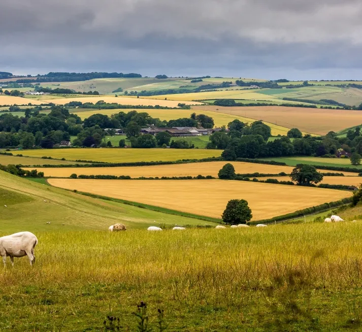 Hungerford Area Guide