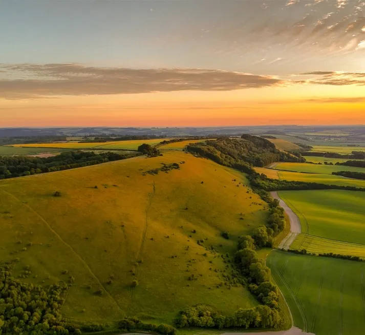 Newbury Area Guide