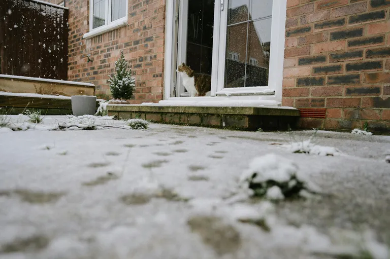Winterproof Your Outdoor Spaces: Patios, Gardens, and Decks hero