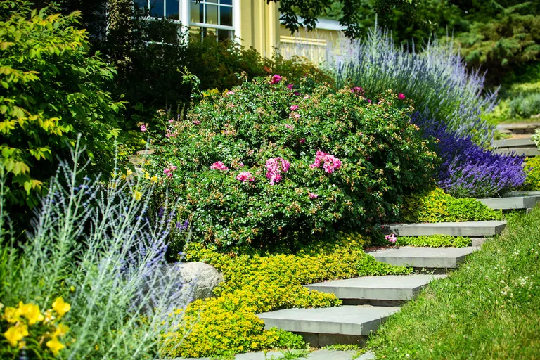 10 top tips to get your home ready to sell or rent this spring with Pilgrims Sales & Lettings  hero