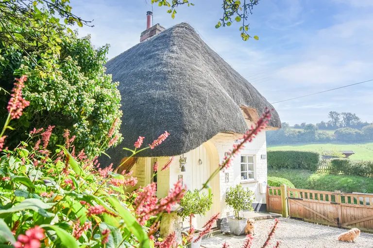 Why Easter is the Perfect Time to Spring into the Property Market hero