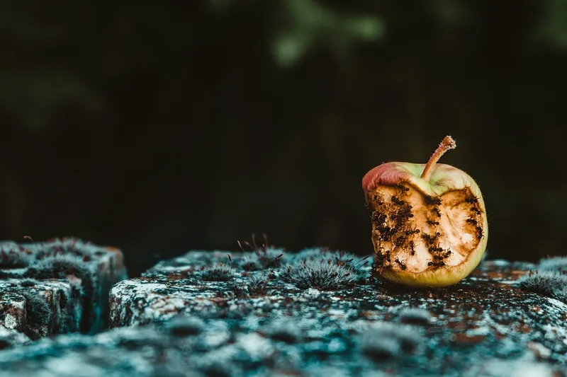 5 Warning Signs of a Bad Tenant (and How to Avoid Letting Them In)