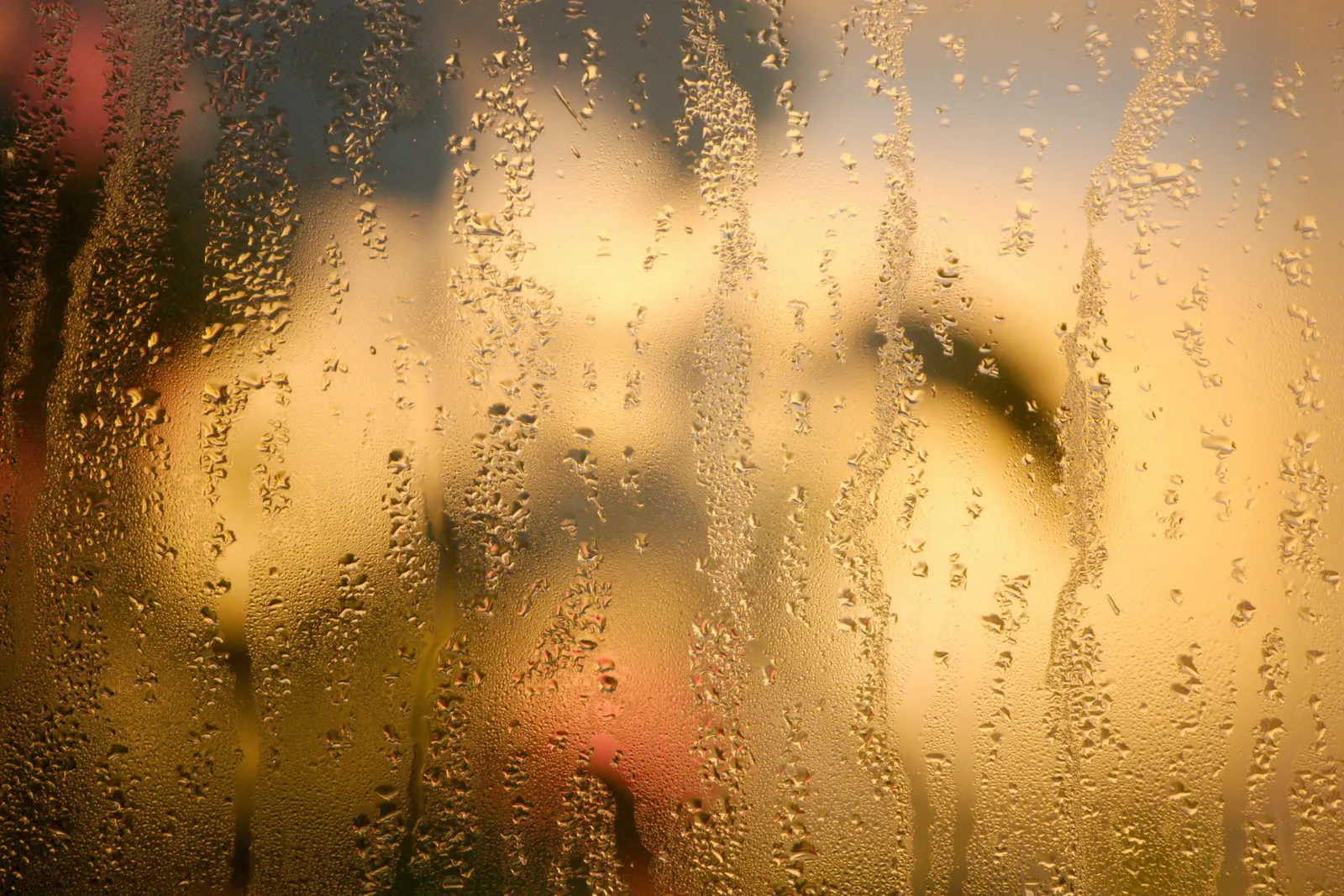 What is condensation and how can you prevent it in your home? 