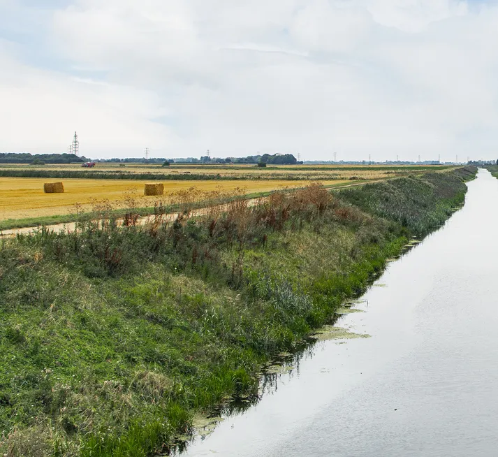 Tydd St Giles