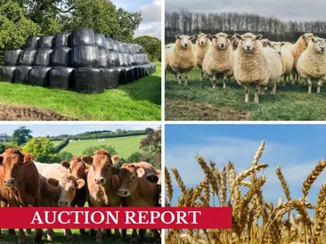 The South West May Fodder & Livestock Online Timed Auction Statistics