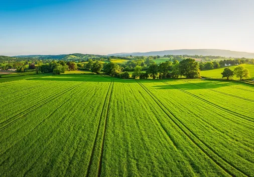 Is Your Land Registered? The Benefits of First Registration