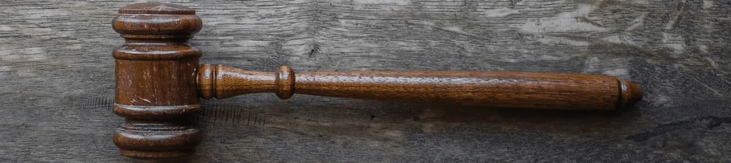 Going, going, gone... The lowdown on auction sales