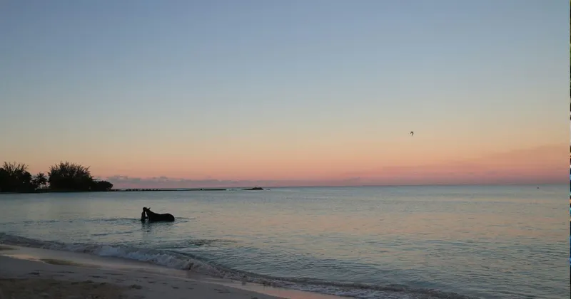 Buying Off-Plan in Barbados: Risks and Rewards