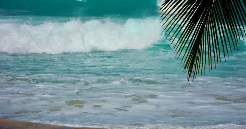 Buying Property on the West Coast (Platinum Coast) of Barbados