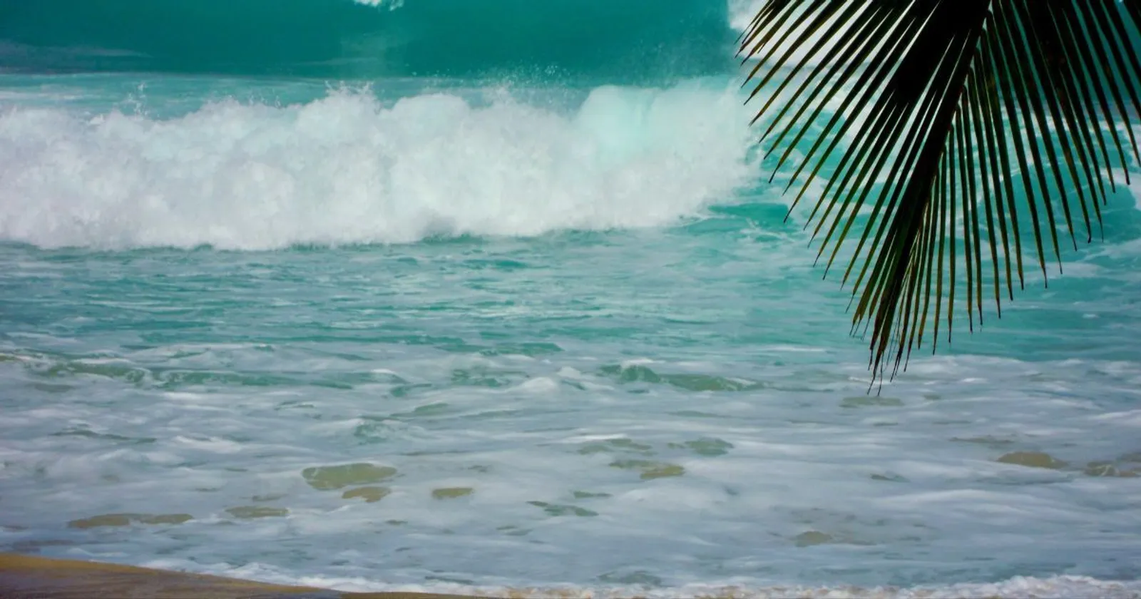 Buying Property on the West Coast (Platinum Coast) of Barbados