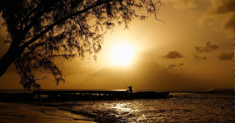 The Best Areas to Buy Property in Barbados