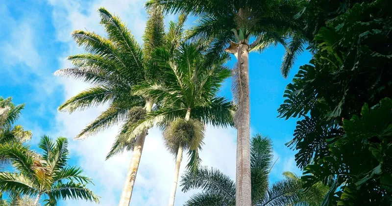 Buying Property in St. James, Barbados