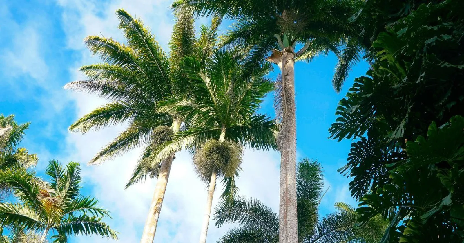 Buying Property in St. James, Barbados