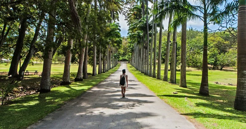 The Running Costs of Owning a Villa in Barbados
