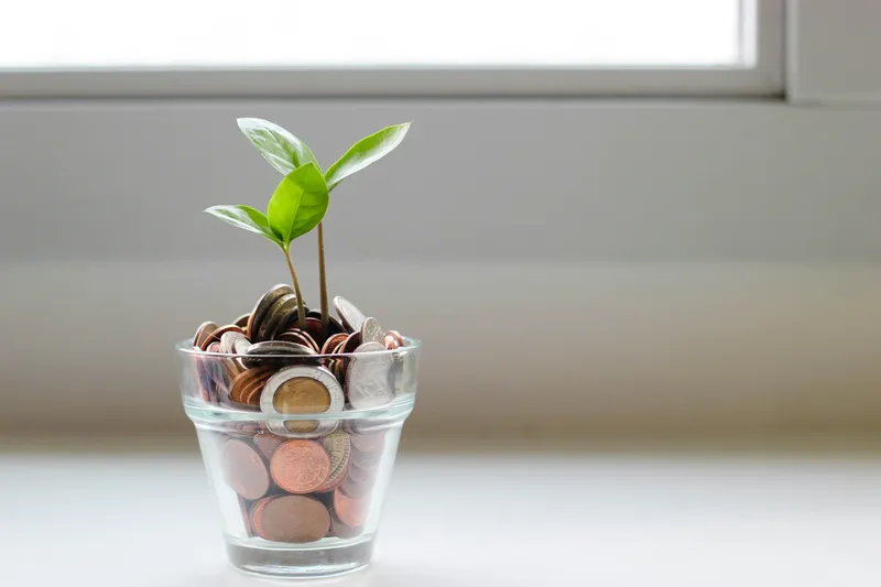 The Difference Between Cash Flow and Capital Growth