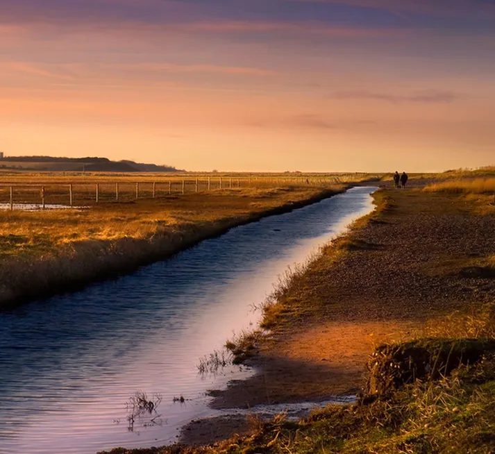 estate agents salthouse