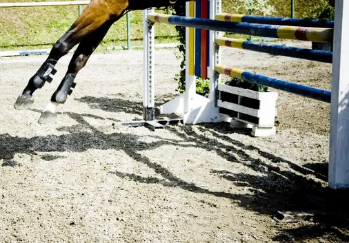 Top South West Equestrian Competition Venues 