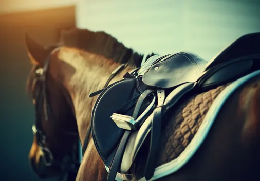 Equestrian Shopping in the South West 